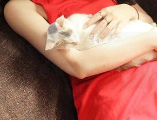 QingDouKe青豆客 – 看施忆佳Kitty酱私房写真，我居然一不小心想吃肉丝？！